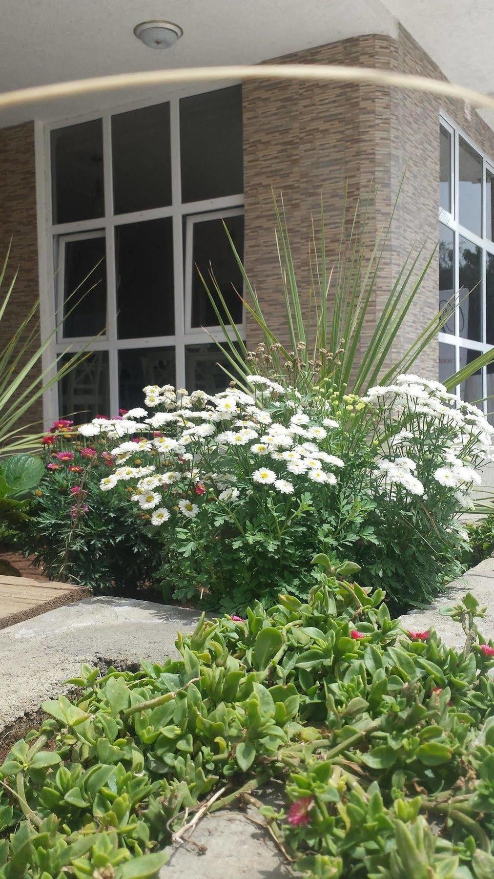 White House Addis Hotel Екстериор снимка